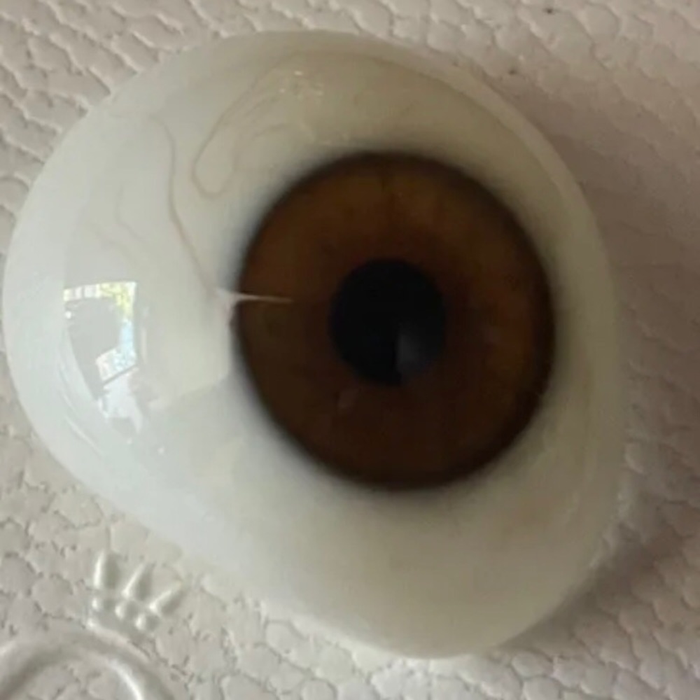 Real Medical Prosthetic Human Glass Eye, Brown, circa 1880 - Picture 4 of 6